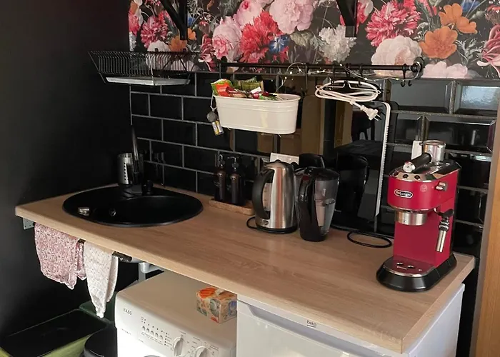 Modry Sznurki Całoroczny Ogrodzony Brodnica (Kartuzy)