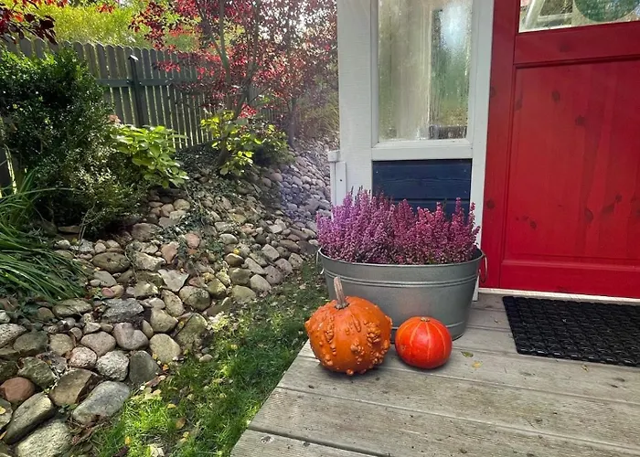 Dom wakacyjny Modry Sznurki Całoroczny Ogrodzony *