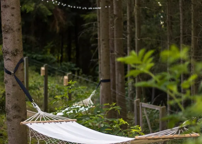 Modry Sznurki Całoroczny Ogrodzony Dom wakacyjny Brodnica (Kartuzy)