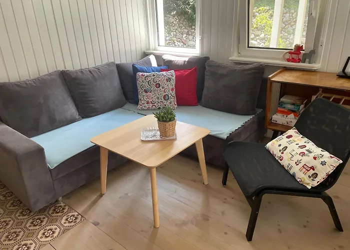 Modry Sznurki Całoroczny Ogrodzony Brodnica (Kartuzy)