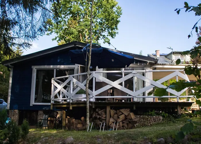 Modry Sznurki Całoroczny Ogrodzony * Brodnica (Kartuzy)